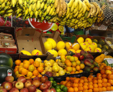ALIMENTOS