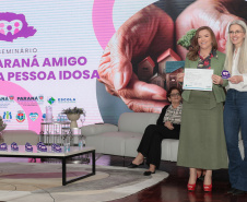 SEMIPI POLÍTICAS PÚBLICAS IDOSAS