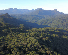 INOVAÇÃO MARINGÁ
