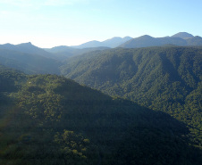 INOVAÇÃO MARINGÁ