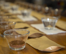 Com apoio do Tecpar, empreendedores vão produzir água especial para o preparo de cafés