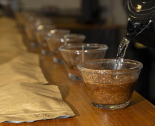 Com apoio do Tecpar, empreendedores vão produzir água especial para o preparo de cafés
