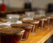 Com apoio do Tecpar, empreendedores vão produzir água especial para o preparo de cafés