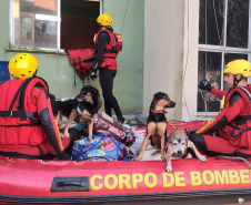 BOMBEIROS