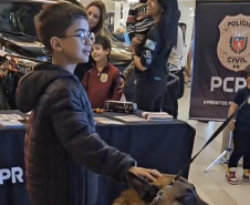 PCPR CONSCIENTIZAÇÃO USO DROGAS