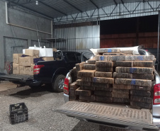 PMPR APREENSÃO MACONHA