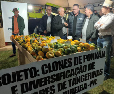 Cerro Azul promove Festa da Ponkan com apoio do Governo do Estado