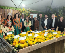 Cerro Azul promove Festa da Ponkan com apoio do Governo do Estado