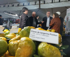 Cerro Azul promove Festa da Ponkan com apoio do Governo do Estado