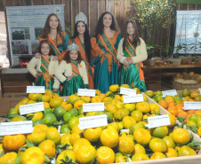 Cerro Azul promove Festa da Ponkan com apoio do Governo do Estado