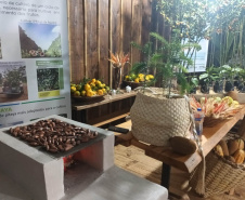 Cerro Azul promove Festa da Ponkan com apoio do Governo do Estado