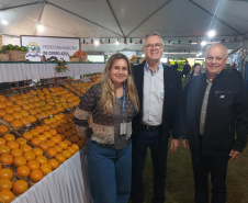 Cerro Azul promove Festa da Ponkan com apoio do Governo do Estado