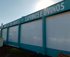 CAPRINOS