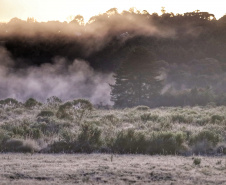 Após recorde de frio, temperatura sobe e Paraná volta a ter veranicos de inverno