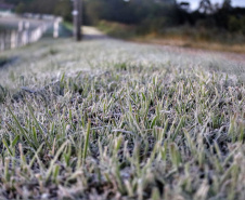 Após recorde de frio, temperatura sobe e Paraná volta a ter veranicos de inverno