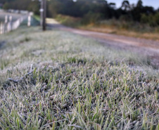 Após recorde de frio, temperatura sobe e Paraná volta a ter veranicos de inverno