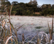 Após recorde de frio, temperatura sobe e Paraná volta a ter veranicos de inverno