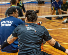 volei