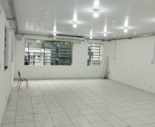 SESA COMBATE A DENGUE LONDRINA