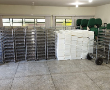 SESA COMBATE A DENGUE LONDRINA