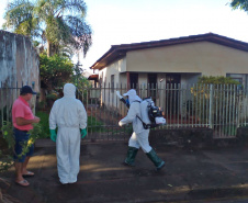 BALANÇO SESA AÇÕES EFETIVAS COMBATE DENGUE