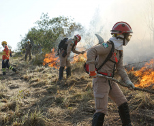 bombeiros