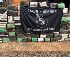 Combate ao tráfico: apreensões de maconha e cocaína crescem no 1º semestre de 2024