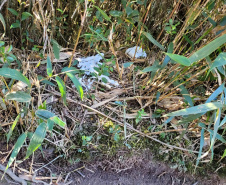 Sujeira deixada por visitantes impacta diretamente na qualidade da água de fontes do Parque Estadual Pico Paraná.