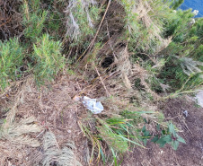 Sujeira deixada por visitantes impacta diretamente na qualidade da água de fontes do Parque Estadual Pico Paraná.