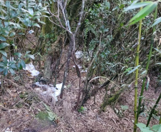 Sujeira deixada por visitantes impacta diretamente na qualidade da água de fontes do Parque Estadual Pico Paraná.