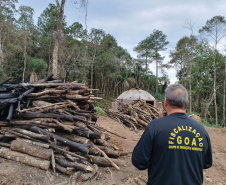 Avanço na fiscalização por parte do IAT fez com que diminuísse a execução de crimes ambientais como desmatamento na região de Maringá.