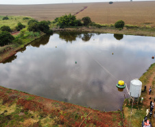 Com tilápia em alta, exportação paranaense de pescados cresceu 20% no 1º semestre de 2024