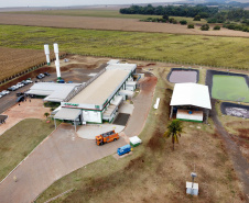 Com tilápia em alta, exportação paranaense de pescados cresceu 20% no 1º semestre de 2024