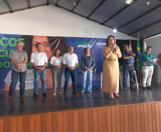 Douradina, Ribeirão do Pinhal e Turvo
