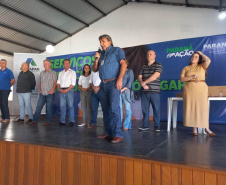 Douradina, Ribeirão do Pinhal e Turvo