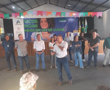 Douradina, Ribeirão do Pinhal e Turvo