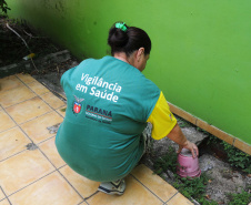 BALANÇO SESA AÇÕES EFETIVAS COMBATE DENGUE