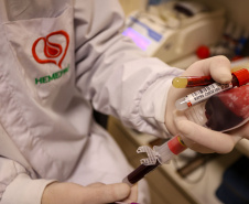 SESA DOAÇÃO DE SANGUE