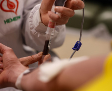 SESA DOAÇÃO DE SANGUE