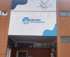 58 milhões de wolbitos devem ajudar Londrina no combate às arboviroses 