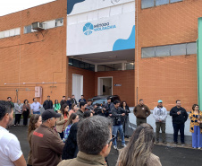 58 milhões de wolbitos devem ajudar Londrina no combate às arboviroses 