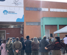 58 milhões de wolbitos devem ajudar Londrina no combate às arboviroses 