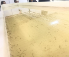 Paraná solta os primeiros mosquitos do “Método Wolbachia” na inauguração da biofábrica, em Foz do Iguaçu