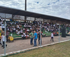 pista