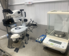Paraná solta os primeiros mosquitos do “Método Wolbachia” na inauguração da biofábrica, em Foz do Iguaçu