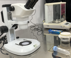 Paraná solta os primeiros mosquitos do “Método Wolbachia” na inauguração da biofábrica, em Foz do Iguaçu