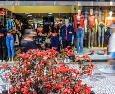 Paraná fecha junho como 2º estado mais rápido na abertura de empresas