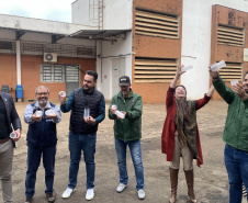 58 milhões de wolbitos devem ajudar Londrina no combate às arboviroses 