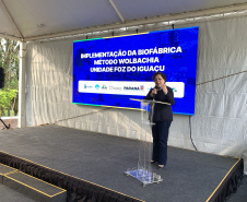 Paraná solta os primeiros mosquitos do “Método Wolbachia” na inauguração da biofábrica, em Foz do Iguaçu
