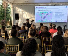 Paraná solta os primeiros mosquitos do “Método Wolbachia” na inauguração da biofábrica, em Foz do Iguaçu